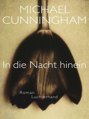 cover image of In die Nacht hinein